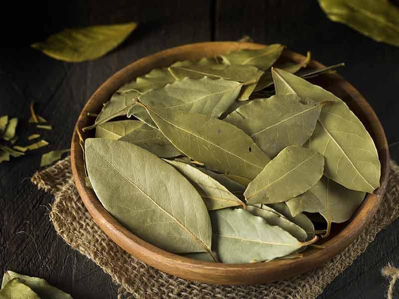 Light Green Bay Leaves