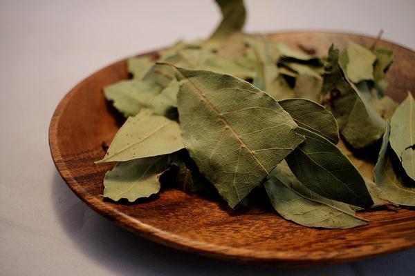 Light Green Bay Leaves