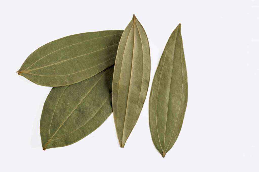 Light Green Bay Leaves