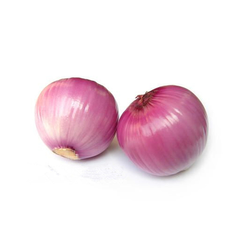 Fresh Onion
