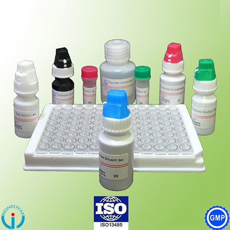 Epstein Barr Virus Ebv Iga Elisa Kit
