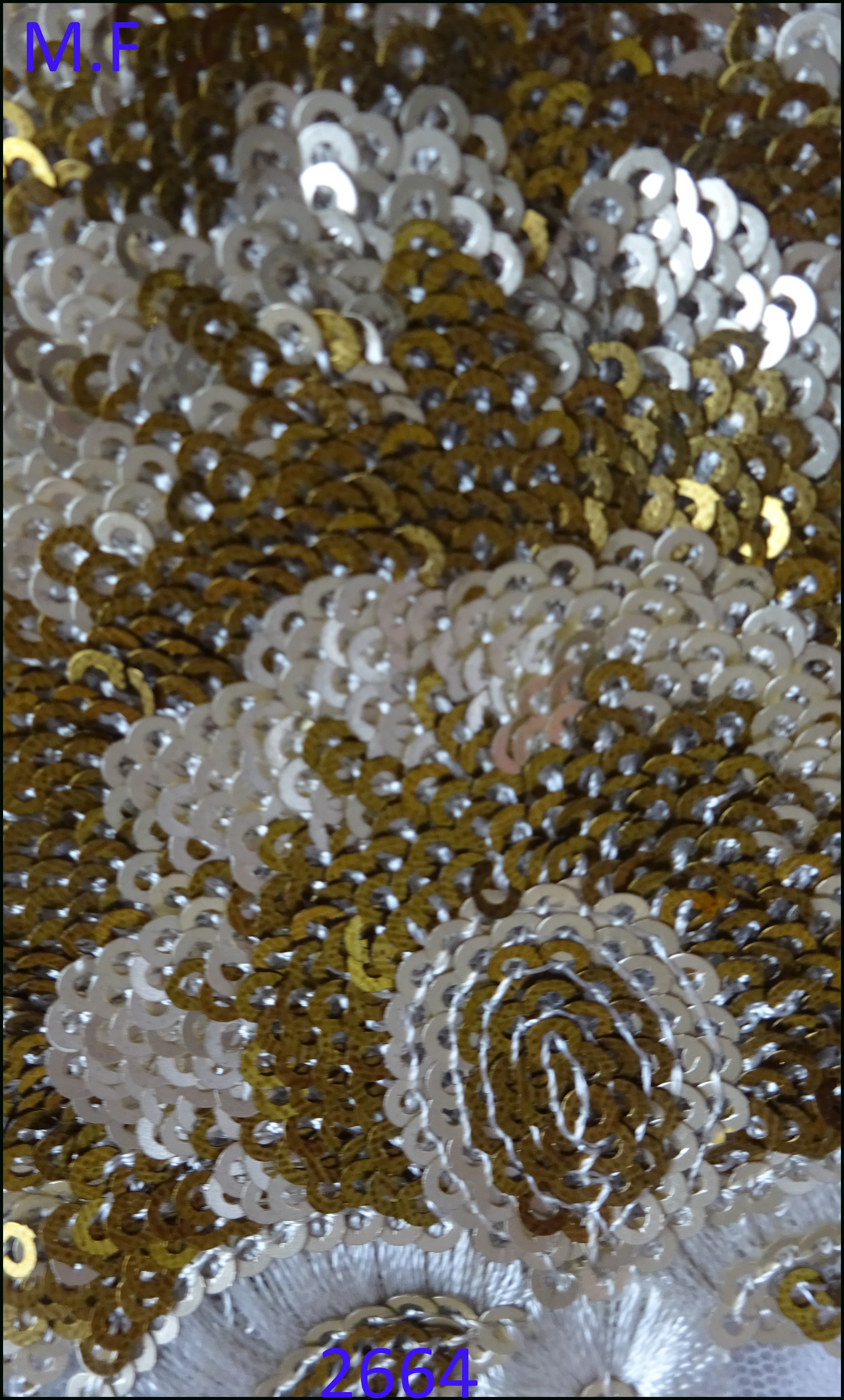 Two Color Antic Sequence Embroidery Work
