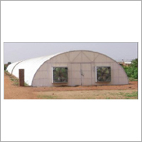 Our Green House 