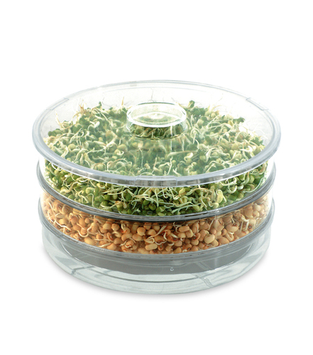 Quick Sprouter - Glass, 2-5 Millimeter Thickness, 450-850 Grams Weight | Ideal For Efficient Sprouting And Home Gardening