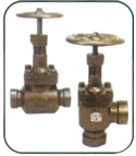 Globe Valve & Flanges For Ammonia