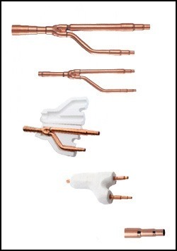 ब्राउन ब्रांच जॉइंट