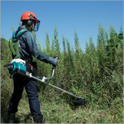 2 Stroke Brush Cutter - Steel, Variable Dimensions | Easy Operation, Durable Design, High Efficiency, Adjustable Speed, Auto Wrapping