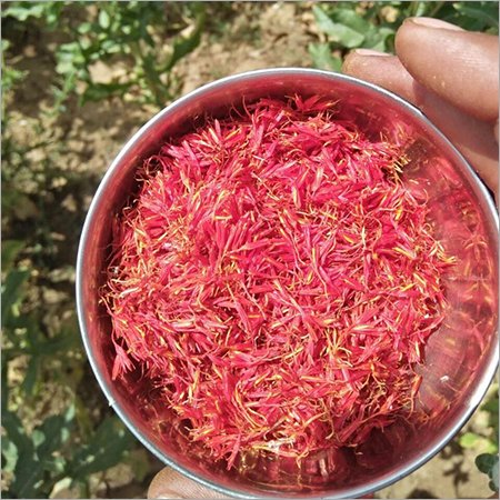 शुद्ध अमेरिकी केसर