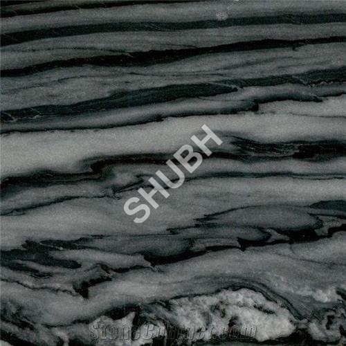 Equator Black