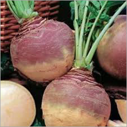 फ्रेश स्वेड ट्वीड