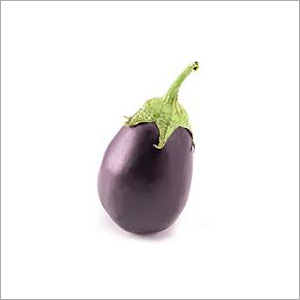 ताजा बैंगन