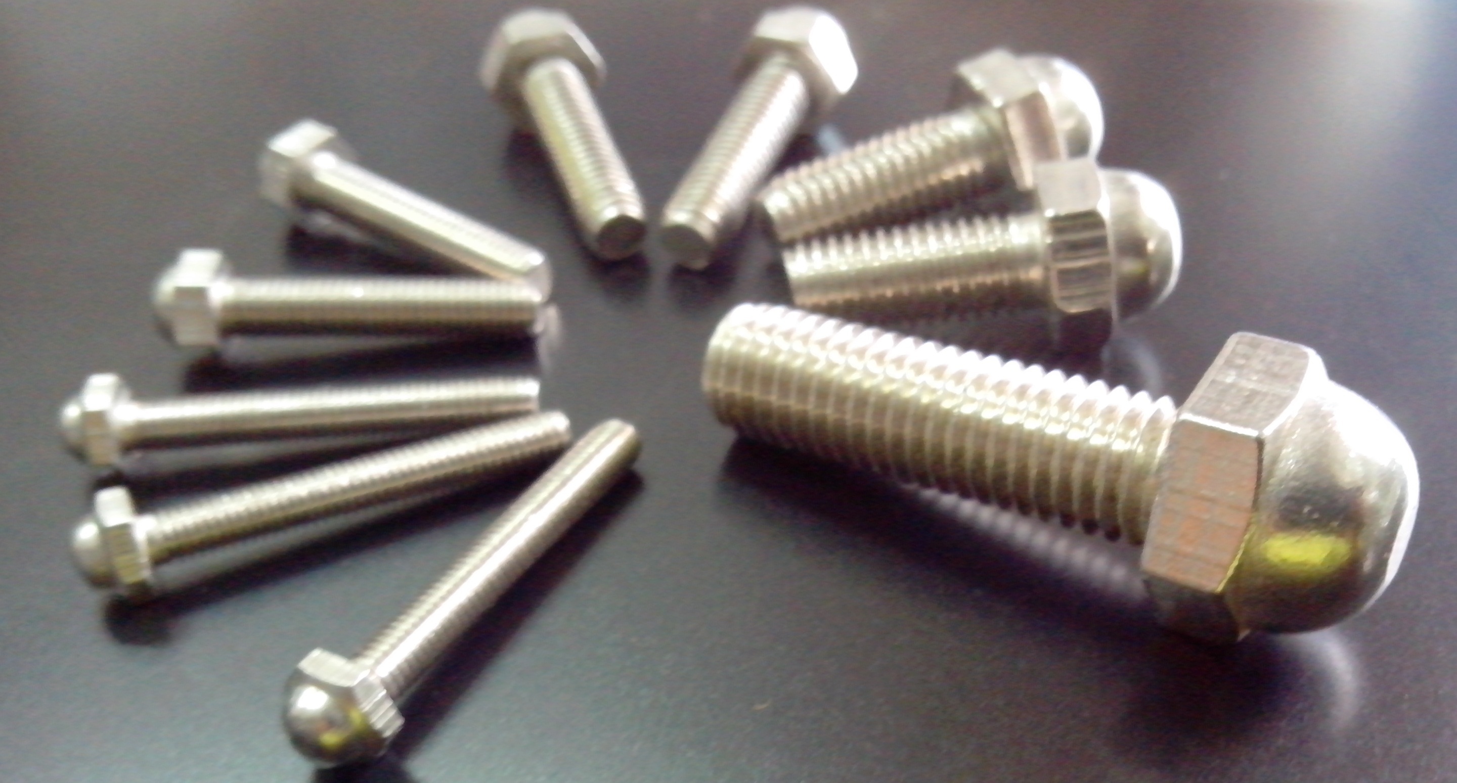 Dome Bolts Stainless Steel Grade: Aisi 304