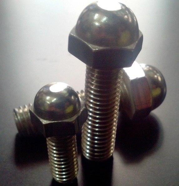 Dome Bolts Stainless Steel Grade: Aisi 304