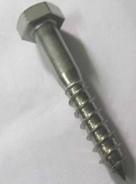 Lag Bolts Hex Coach Screws Ss Grade: Aisi 304