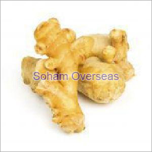 Fresh Ginger