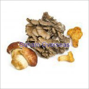 Fresh Mushroom