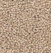 Natural Sesame Seed