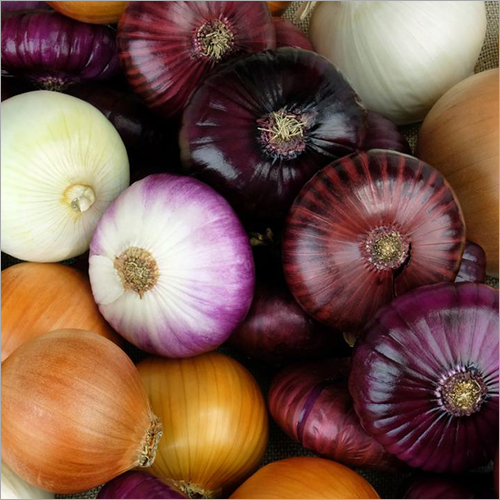 लाल प्याज