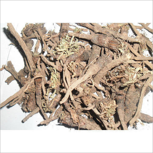 Dried Akarkara Root - Processed Herbal Supplement | Antibacterial, Antimicrobial, Aphrodisiac, Muscle Relaxant, Enhances Libido, Supports Neurology, Improves Digestion
