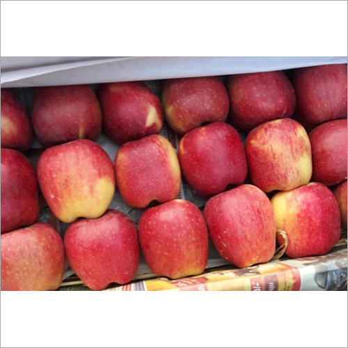 Kashmiri Fresh Apple Fruit