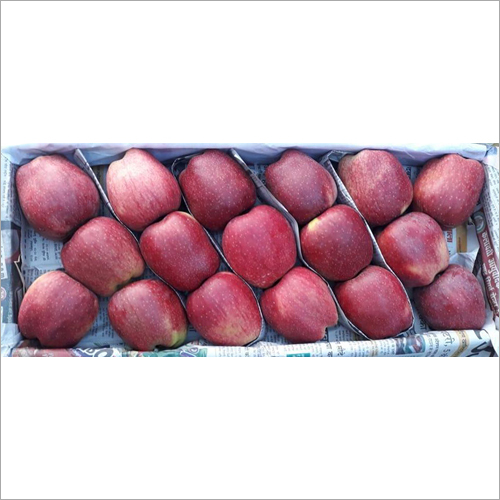Kashmiri Hybrid Apple