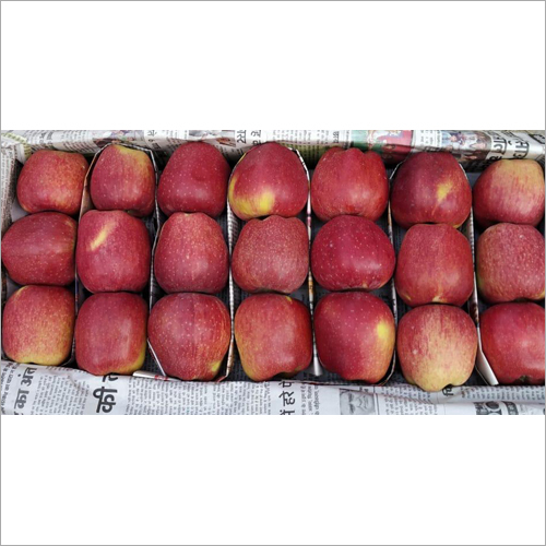 Kashmiri Kinnaur Apple