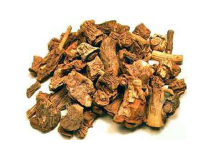 Anantmool (Indian Sarasparilla) Dry Place