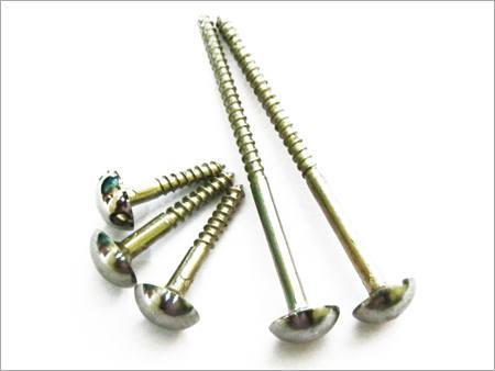 Brass Mirror Screw Size: As Your Requierment