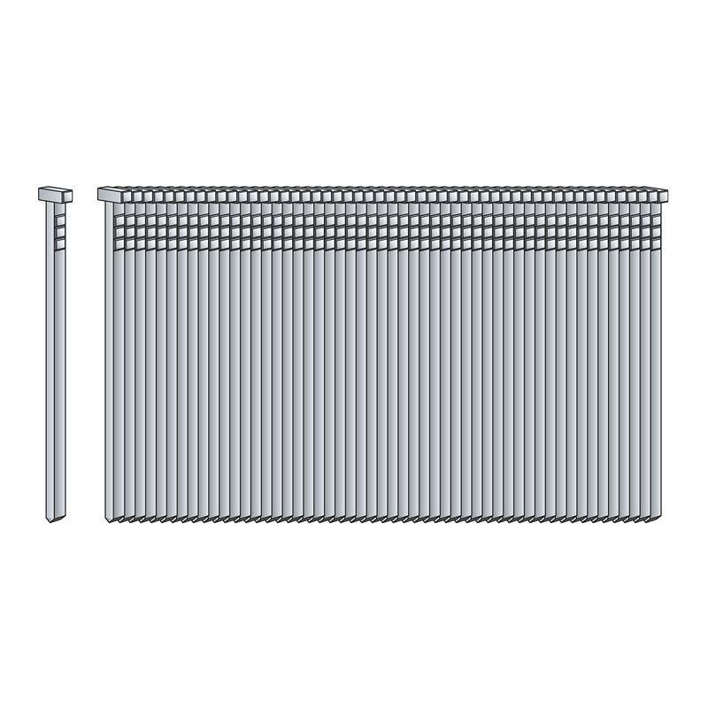 Brad Nails - Galvanized Iron, 10 To 50 Mm Size, Zinc Coated, 2 Mm Head Type For Furniture Applications