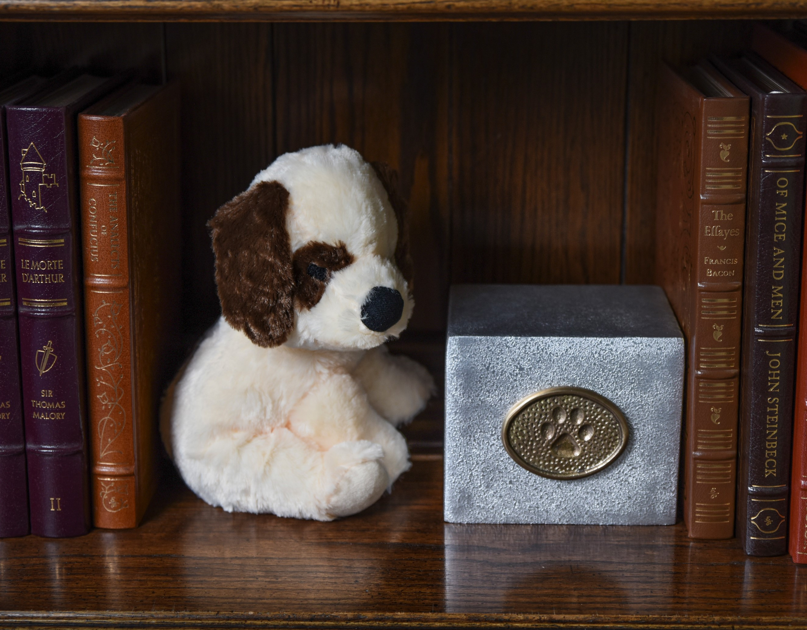 Pet Urn
