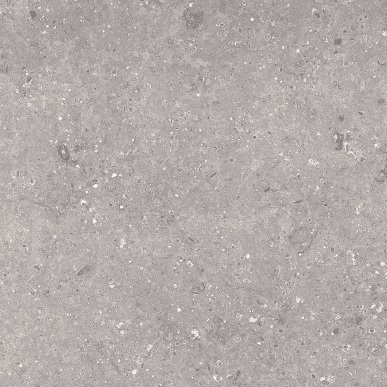 Floor Tiles Vitrified Matt Series