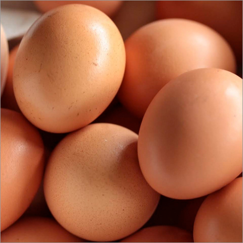 भूरे अंडे
