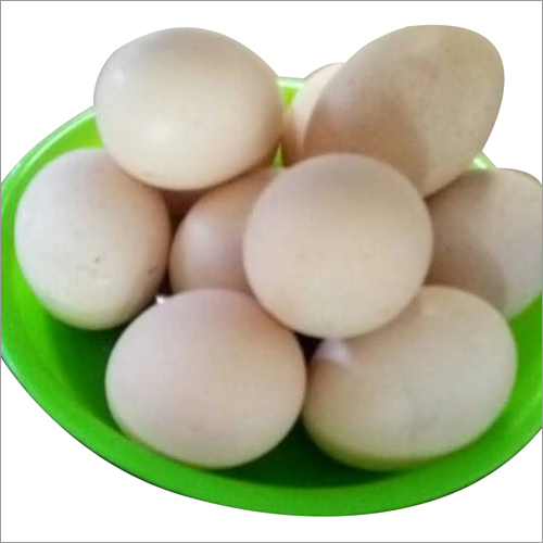 Duck Egg