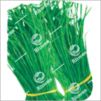 सिंगरा लॉन्ग ग्रीन ग्रेड: फ़ूड