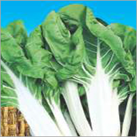 स्विस चार्ड F1 पलक ग्रेड: भोजन