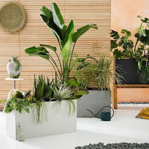 Garden Planter - Superior Quality Design, Elegant Look & Home Decor Essential, Durable & Long-lasting