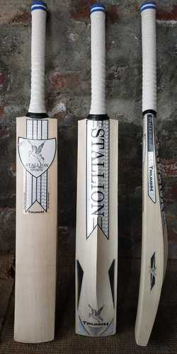 Cricket Bat