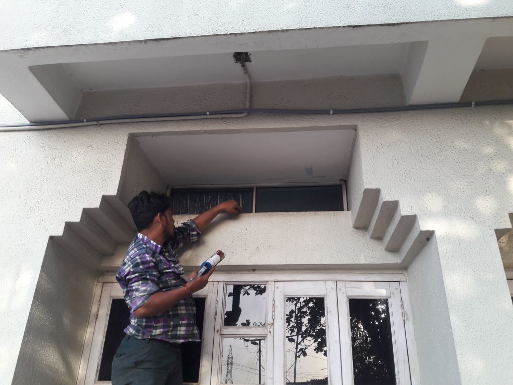 Bird Spike - Polycarbonate Base & Stainless Steel Spikes | Humane, Easy-to-install Bird Repellent For Pigeons And Seagulls