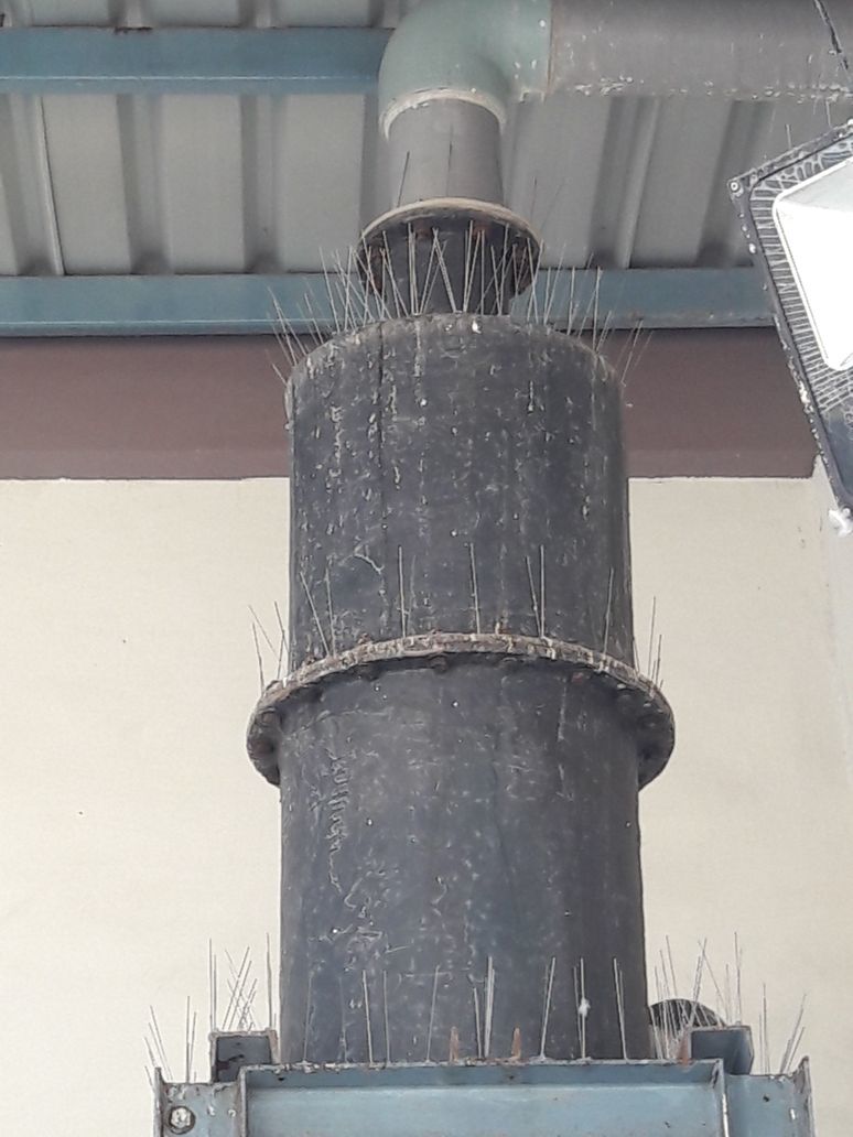 Bird Spike - Polycarbonate Base & Stainless Steel Spikes | Humane, Easy-to-install Bird Repellent For Pigeons And Seagulls