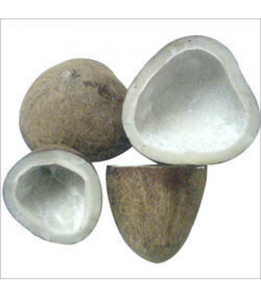 Dry Coconut