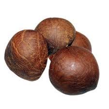 Dry Coconut