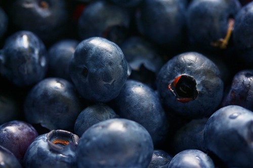 Blueberry Flavour Essence - Liquid, Colorless | Sweet and Tangy Taste, Boosts Immunity, Optimum Quality, 12-Month Shelf Life