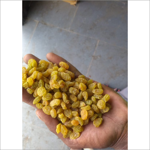 ताज़ा किशमिश