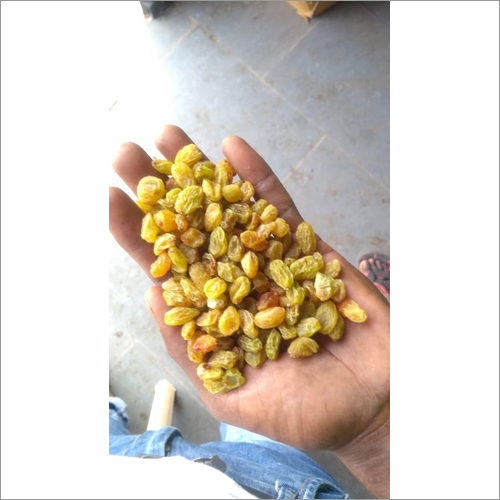 पीली सूखी किशमिश