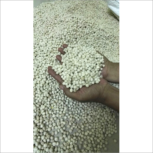 सफेद काबुली चना
