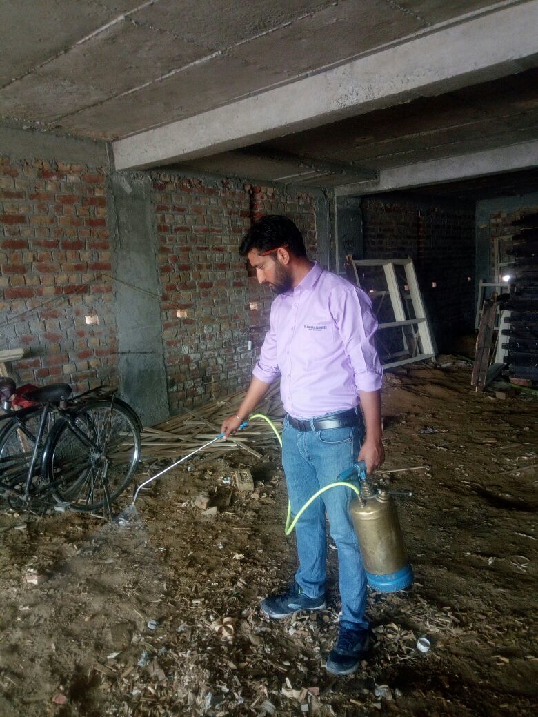 Termite Control Services