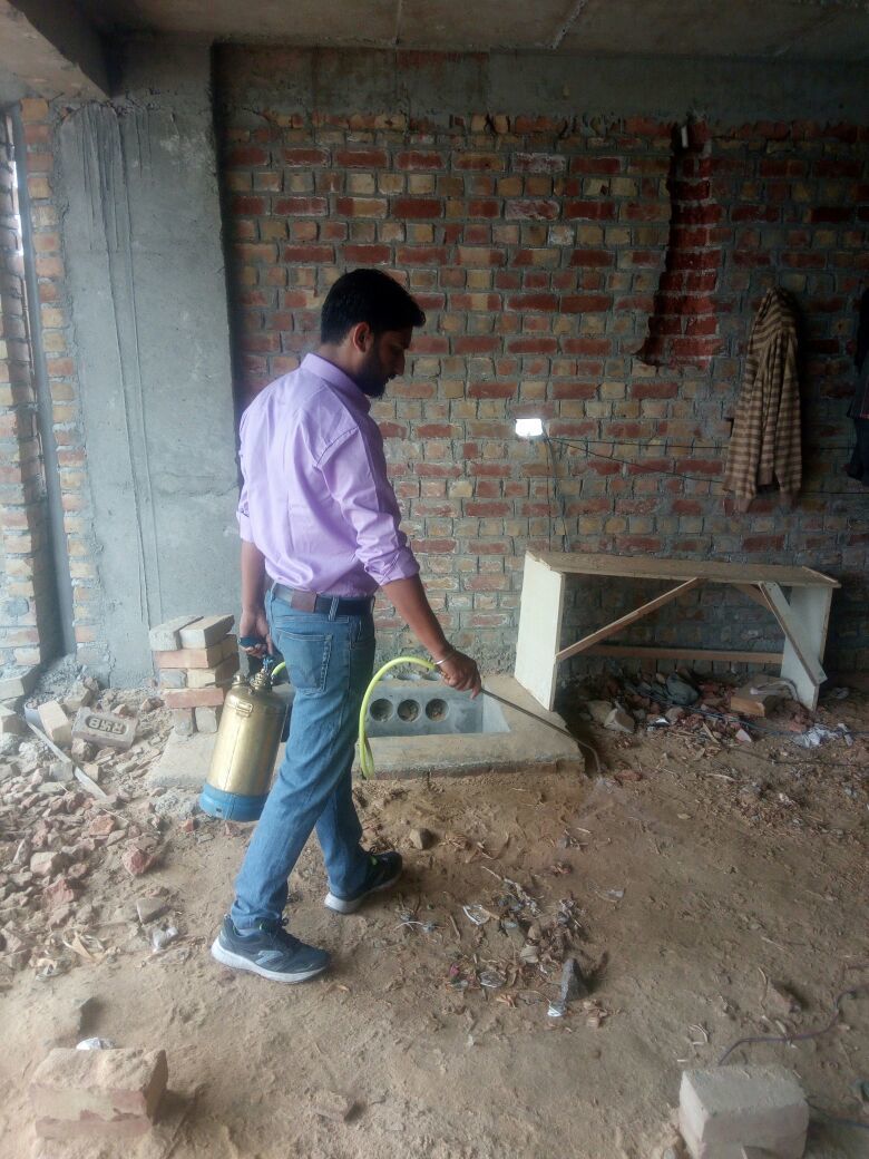 Termite Control Services