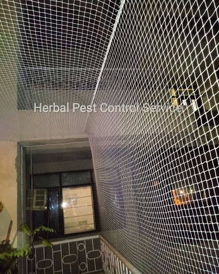 Anti Bird Net