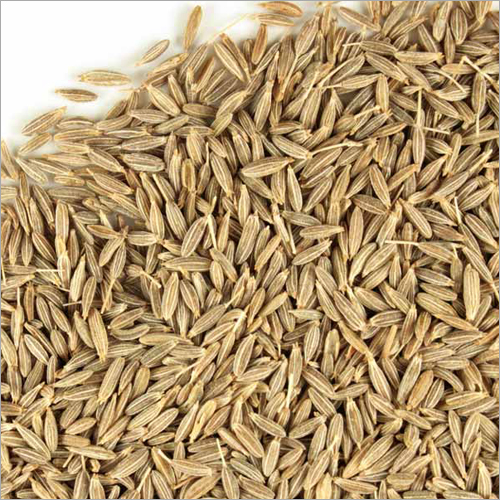 Organic Jeera