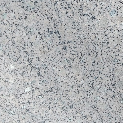 Granite Grey Stone Slab - Granite, Various Sizes, Polished Finish | Durable, Elegant, Long-Lasting, Strong